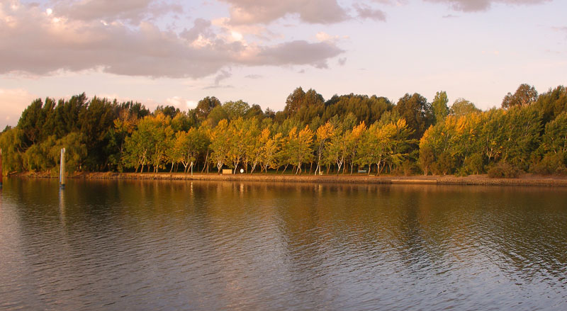 autumn colour 5.jpg - OLYMPUS DIGITAL CAMERA